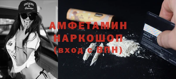 мет Няндома
