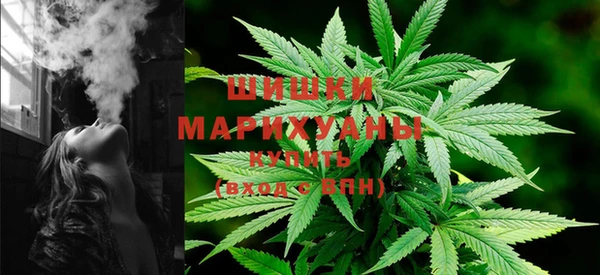 гидропоника Нягань