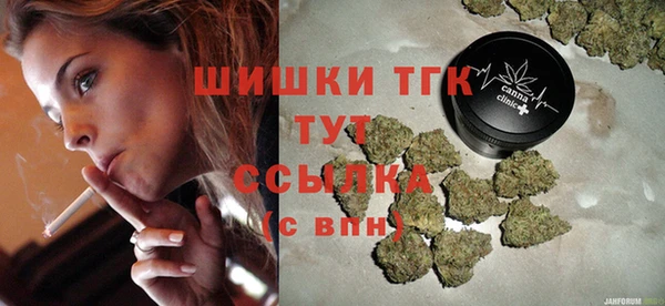 мет Няндома